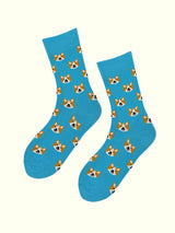 A pair of corgi face socks
