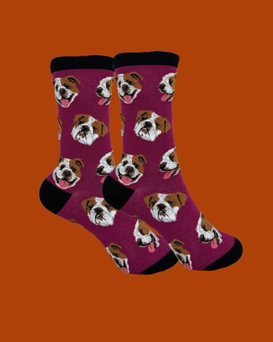 English Bulldog Socks