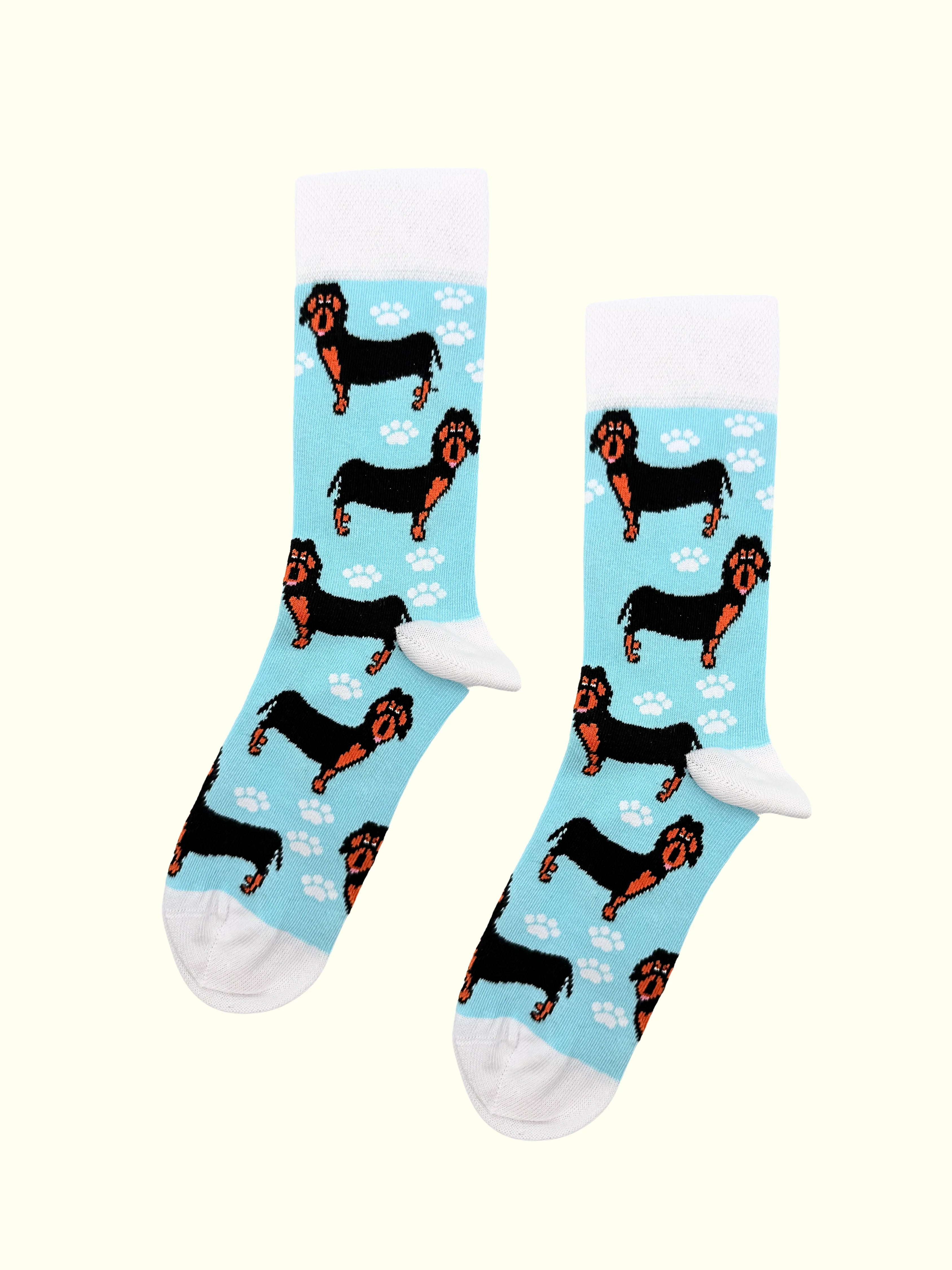A pair of sausage dog socks