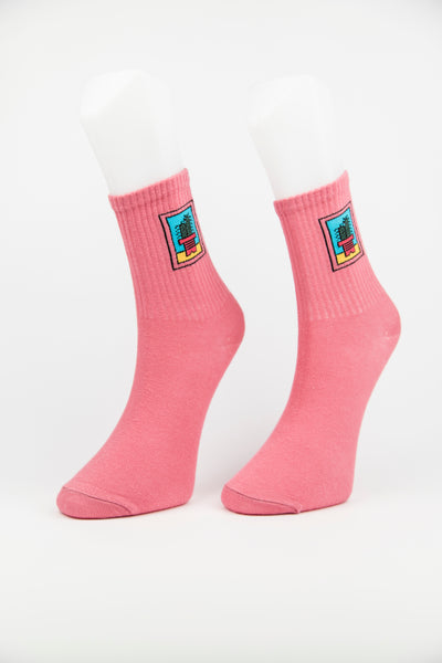 Cactus Pot Framed Pink Socks