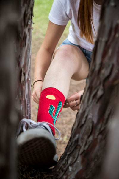 Cactus and Sun Red Sock